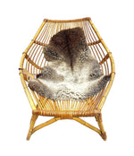 Vintage furniture - Mid century modern furniture - Mid Century Furniture - Mid century chair - Vintage chair - Retro chair - Franco Albini - Ed Butcher - Antique Shop London