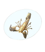 A DUVAL BRASSEUR SCORPION COFFEE TABLE