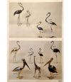 A STUNNING LARGE BRASS FLAMINGO SCULPTURE BY FONDICA WITH HINGES BACK WINGS