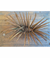 LARGE WHEAT SHEAF TABLE