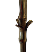 MAISON BAGUES FLOOR LAMP