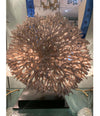 STUNNING LARGE ANTIQUE CIRCULAR PIECE OF LACE CORAL MOUNTED ON MUSEUM STAND