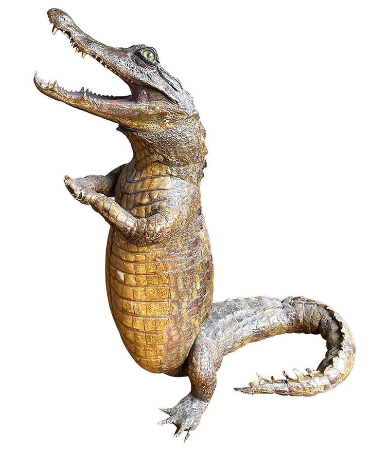 VICTORIAN TAXIDERMY STANDING CROCODILE WITH CLASPED HANDS AND OPEN MOUTH