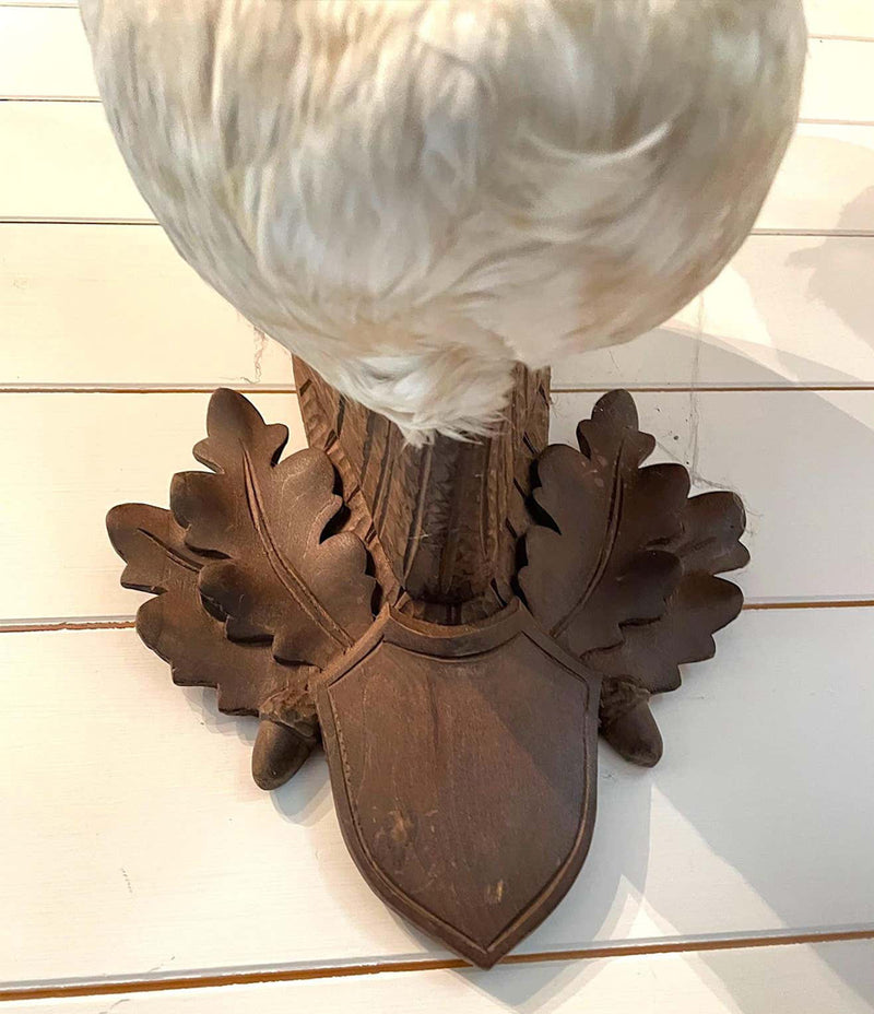 VICTORIAN TAXIDERMY SWAN HEAD MOUNTED ON A CARVED SHIELD WOODEN PLAGUE